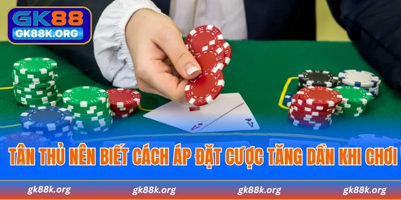Cách đặt cược baccarat