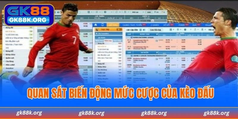 Quan sát biến động mức cược của kèo đấu