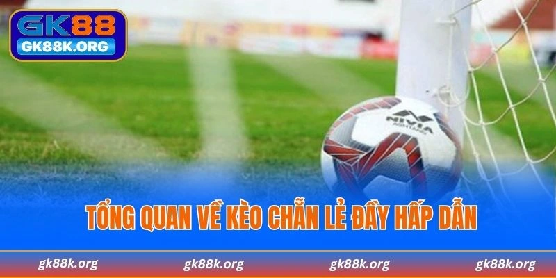 Tổng quan về Kèo chẵn lẻ đầy hấp dẫn